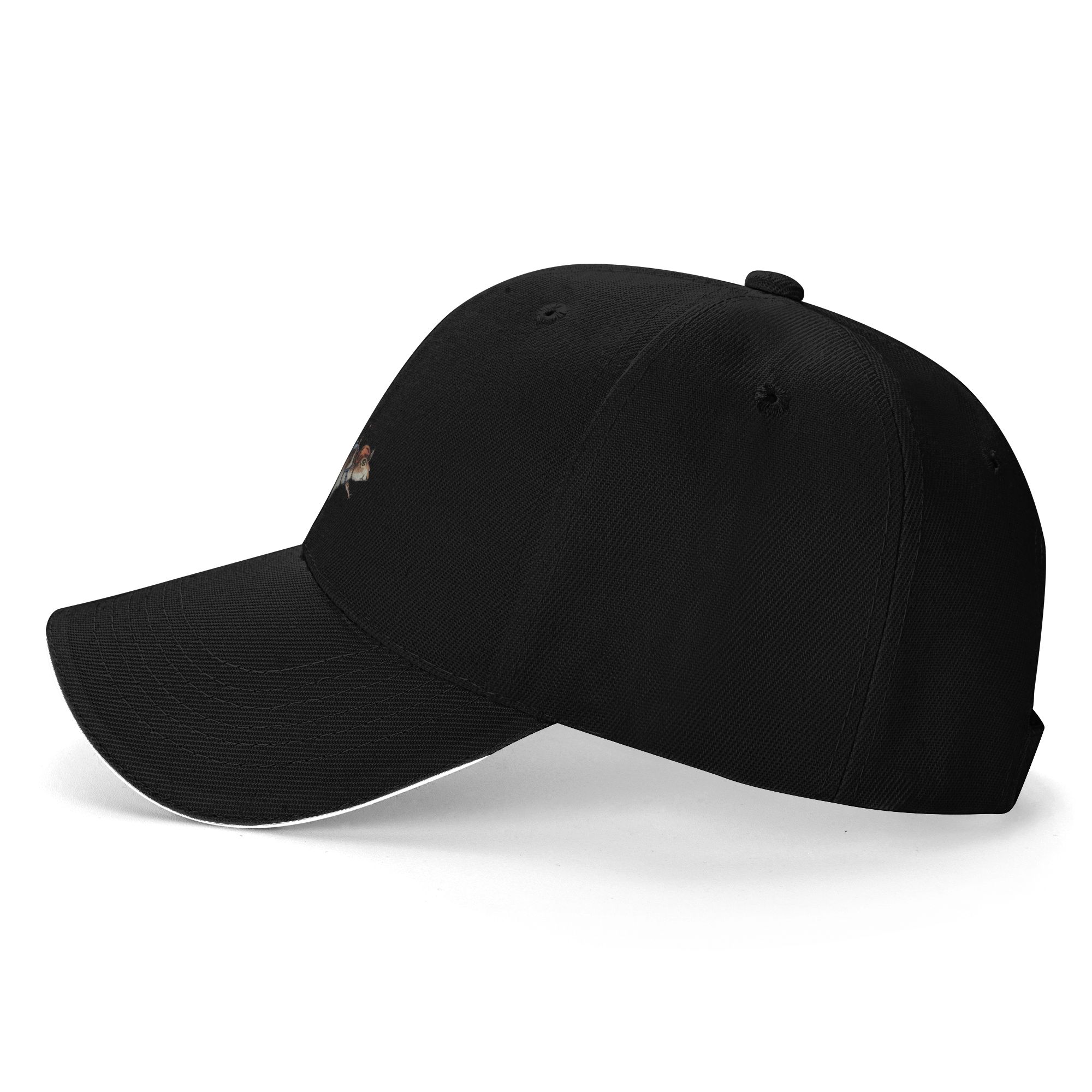 Gorra de béisbol de diseño de  - Streetwear Brand Sale reseña y precio